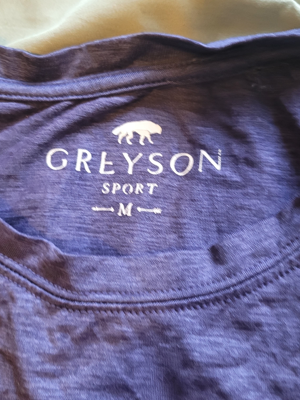 Greyson Purple ST LUCIA CABOT BRRRR Cooling Material Crewneck Tee Relaxed Urban